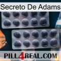 Adams Secret 31